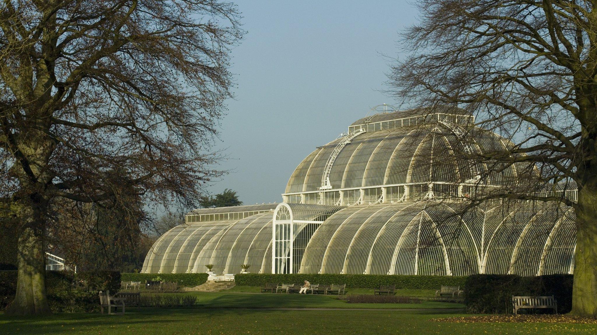 Palm House at Kew