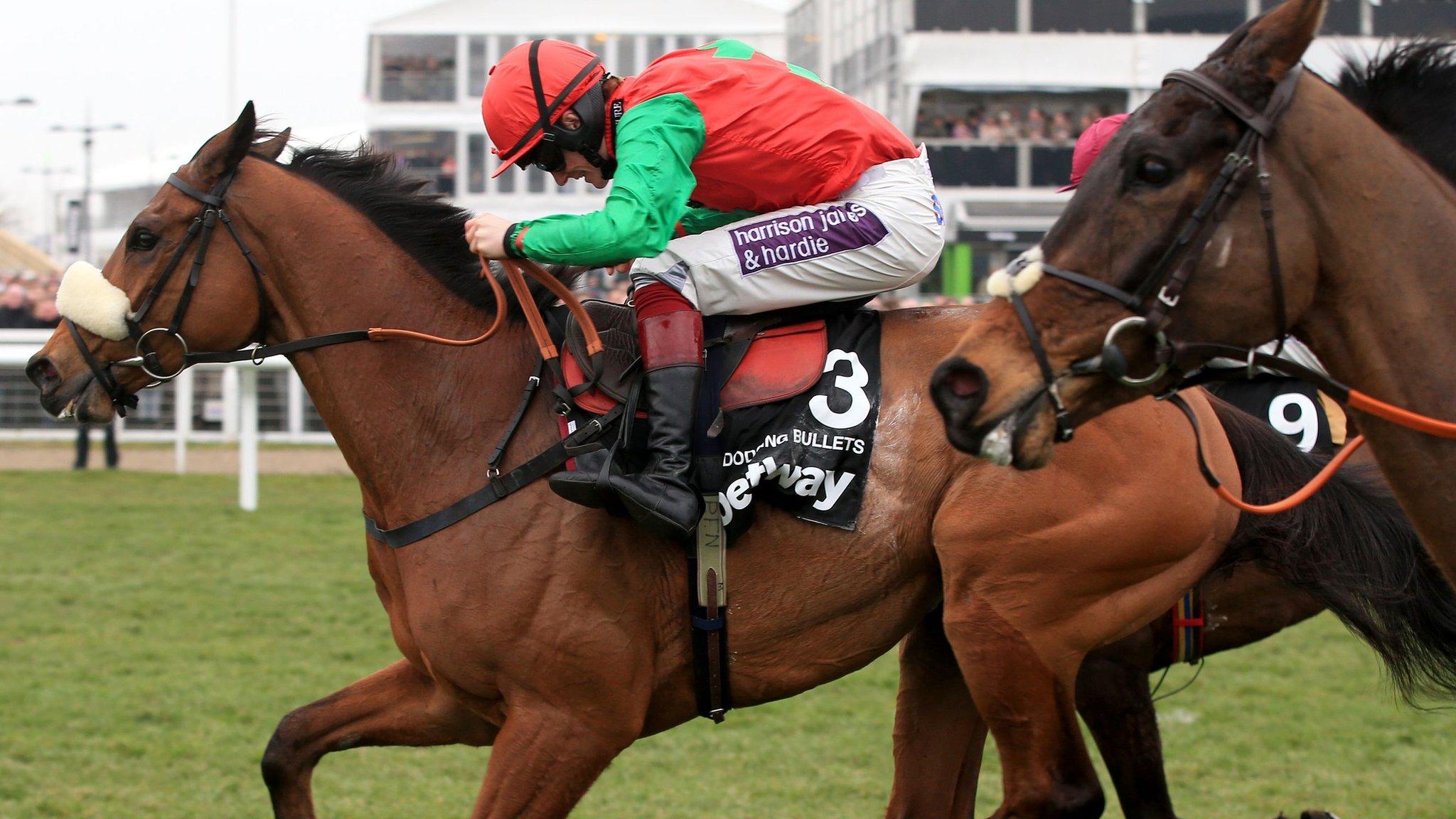 Dodging Bullets wins the Queen Mother Champion Chase at Cheltenham