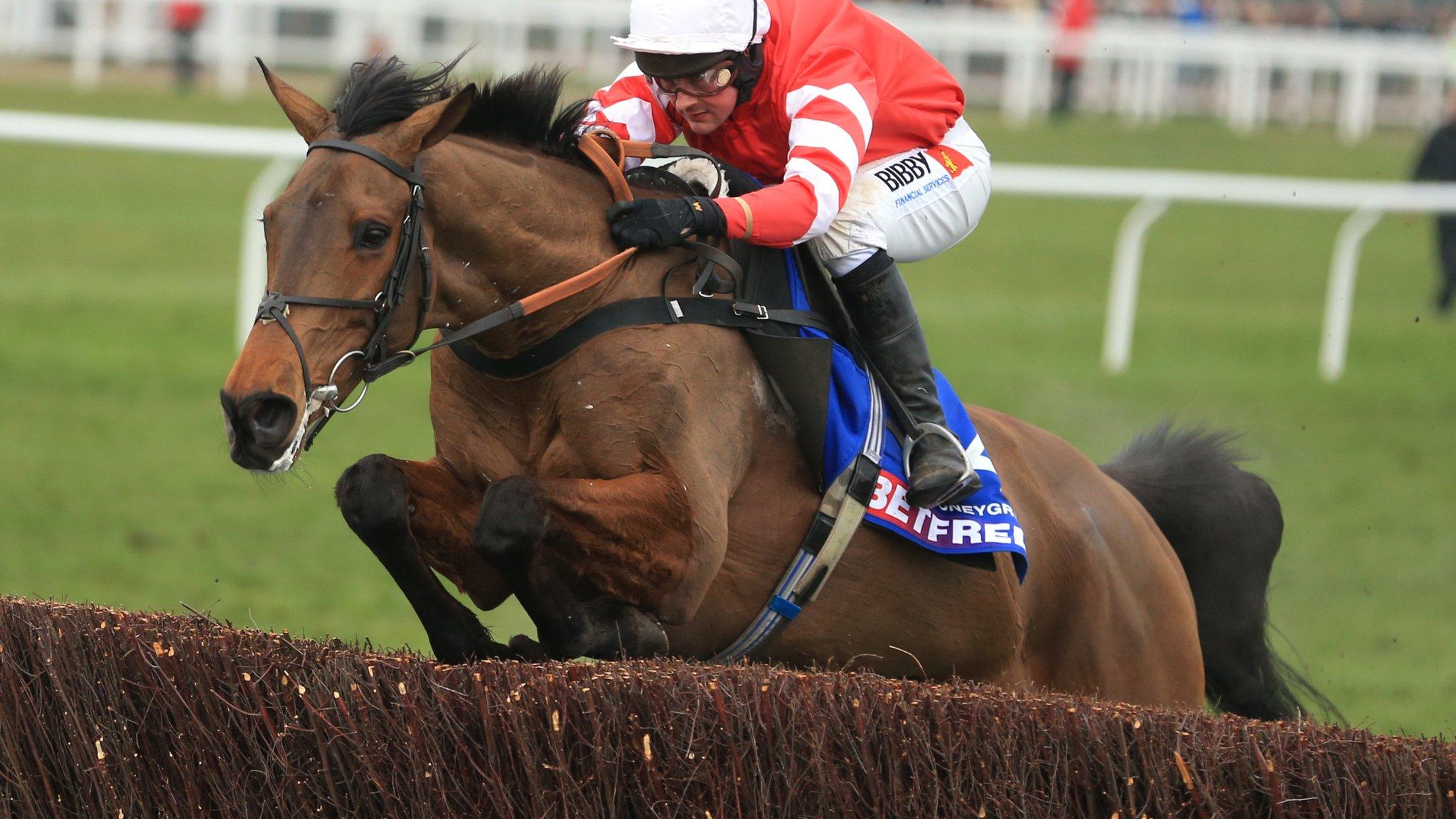 Coneygree wins the Cheltenham Gold Cup