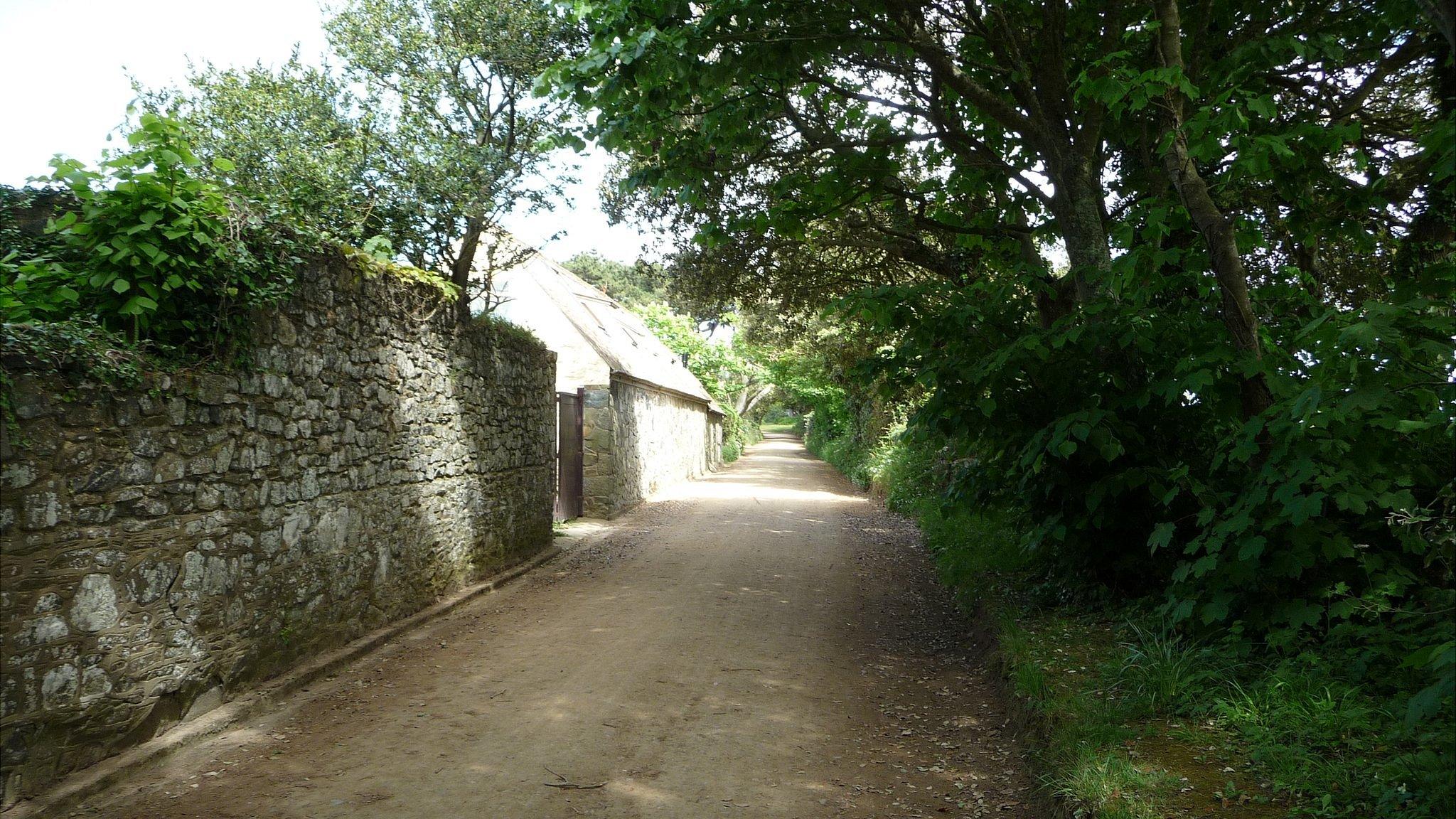 Leafy lane and building in Sark