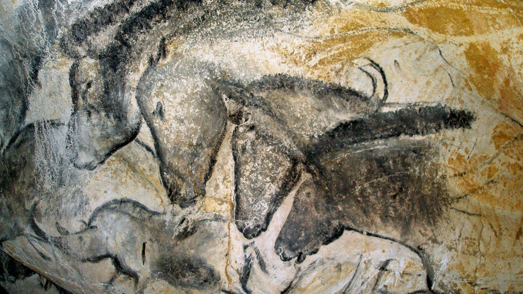 Image from the Chauvet Cave