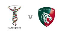 Harlequins v Leicester
