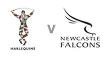 Harlequins v Newcastle