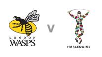 Wasps v Harlequins