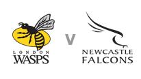 Wasps v Newcastle