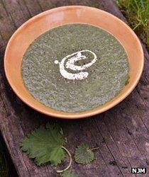 nettle soup