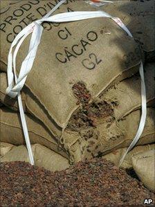 Cocoa beans spill from a torn jute bag