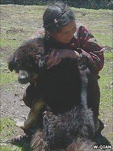 Woman holding a dog (Image: Wang Qian)