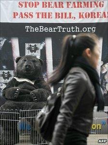 Anti-bear farming protest in Seoul. 6 Nov 2010