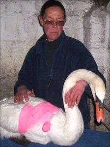 Maria Evans with the swan dubbed Hannibal