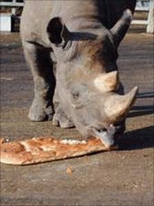 Rukwa eating her birthday cake