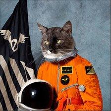 Surfing the Void by the Klaxons