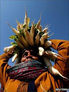 A woman vendor carries white radish for sale at a vegetable market in Jammu, Indian-administered Kashmir, 18 January 2011