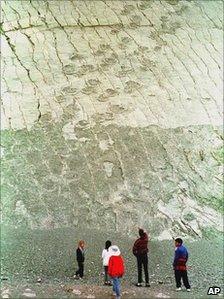 Dinosaur tracks in a quarry in La Paz, Bolivia