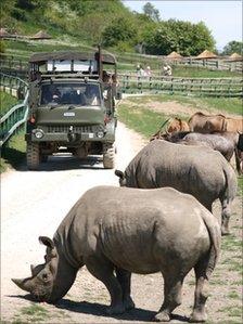 African Experience at Port Lympne Wild Animal Park