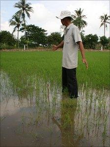 Lieb van Phoc shows how seeds treated with crop protection technology produce bigger plants.