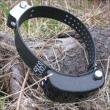 GPS collar