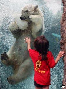 Girl and polar bear in a zoo