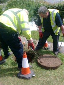 Contractors putting rat bait down sewers