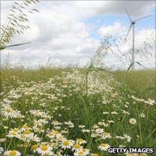 Wind turbine in a field