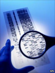 DNA autoradiogram