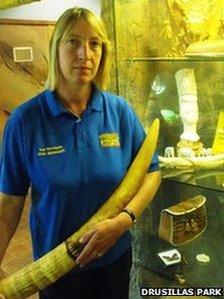 Zoo manager Sue Woodgate with artefacts at the cabinet