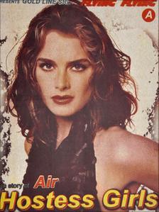 A photo of Brooke Shields was used in an Indian adult film poster
