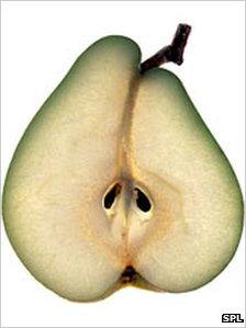 A slice of pear