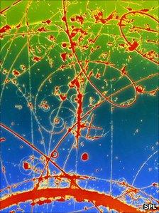 Bubble chamber experiment shows neutrino paths