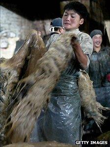 Tannery workers prepare sheep skins