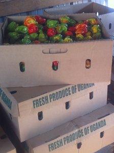 peppers in a box labelled Fresh produce of Uganda