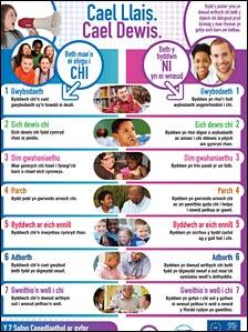 Poster Cael Llais. Cael Dewis.