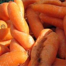 A pile of misshapen carrots