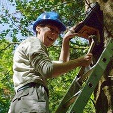 Bat box being put up at Burrator Reservoir