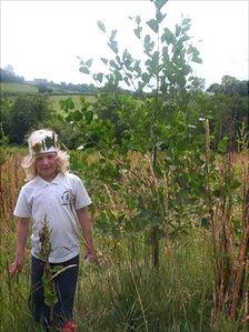 Planting at Coed Ysgubor Wen