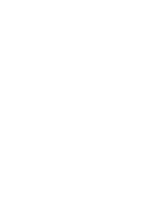 Brigadier Yahia Saleh