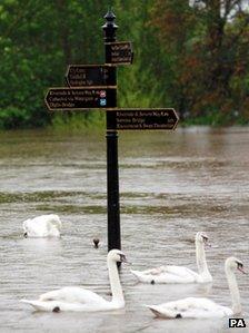 Swans swim past signs for riverside walks along the River Severn in Worcester