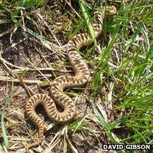 An adder