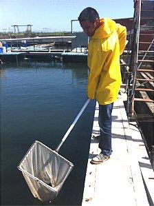 Eel farm where Thomas Karinos works