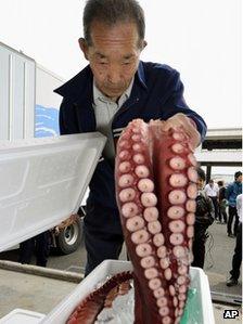 A retailer checks a chestnut octopus caught in the water off Fukushima in Soma, Fukushima Prefecture, northeastern Japan, 25 June 2012