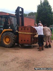 Boulas inside a crate on a forklift truck