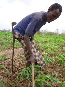 Farmer Adam Alil working his field