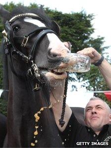 Wadworth Brewery employs three shire horses to deliver beer to Wiltshire pubs