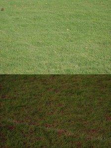 The football pitch before and after