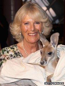 Duchess of Cornwall with joey Rooby Blue