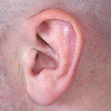 An ear