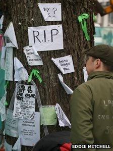 Notices on tree