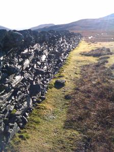 Foel Fras