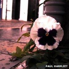 The photo 'Queer' was taken on Hill Street, Belfast