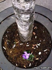 'Batty Boy' planted in Exchange Square in Manchester